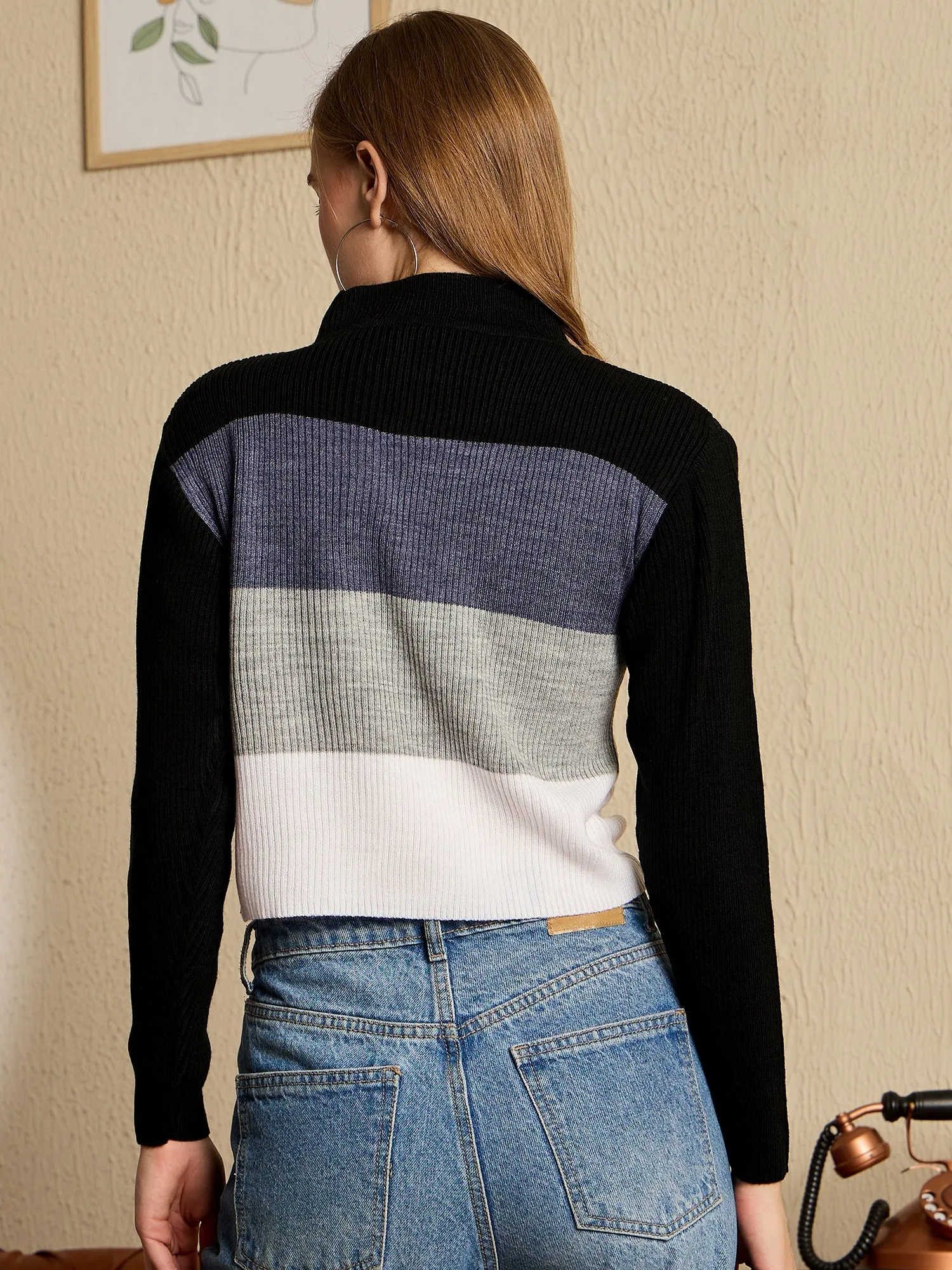 Berrylush Women Black Colourblocked High Neck Full Sleeve Knitted Crop Sweater