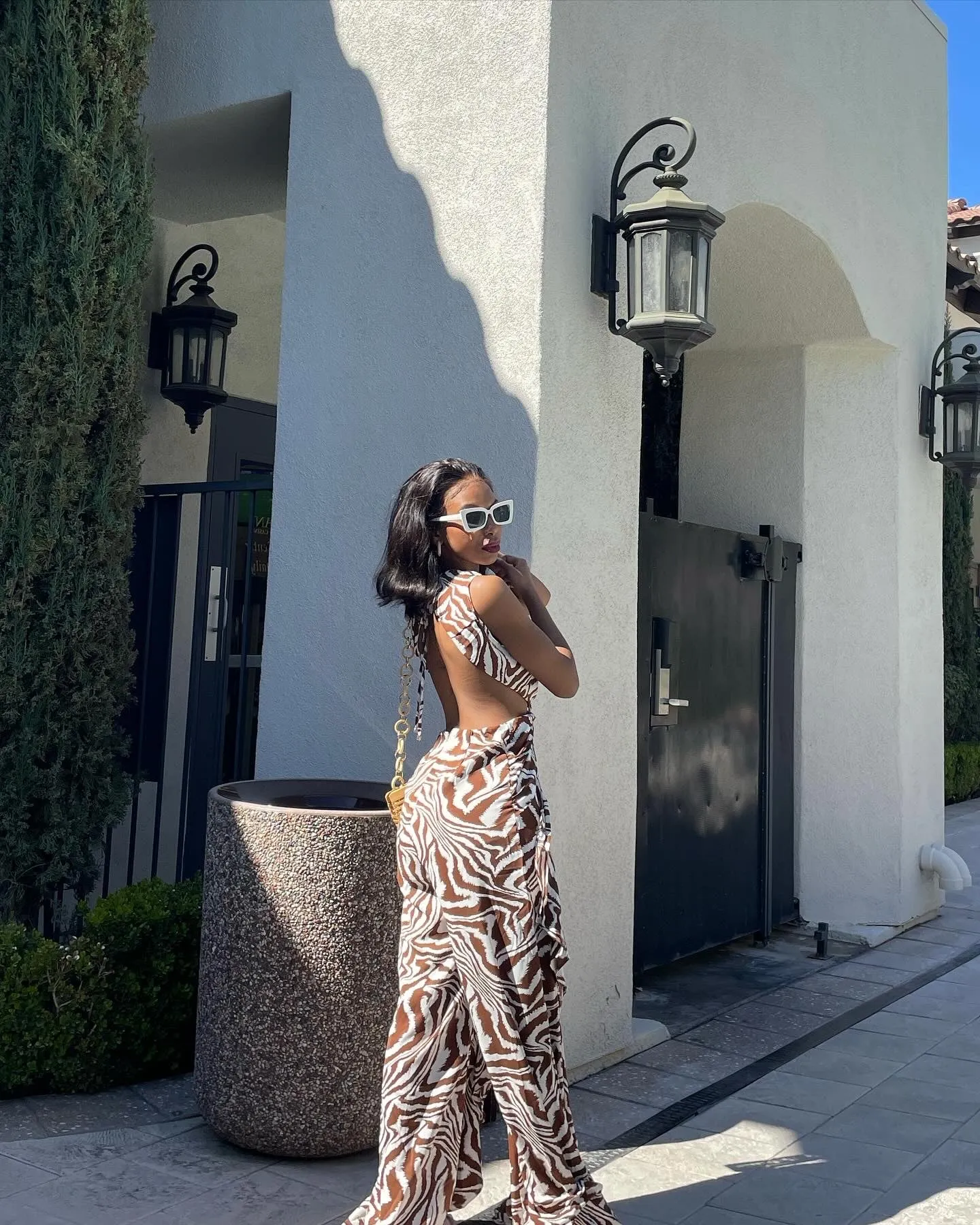 Brown Zebra Print Deep V-Neck Jumpsuit