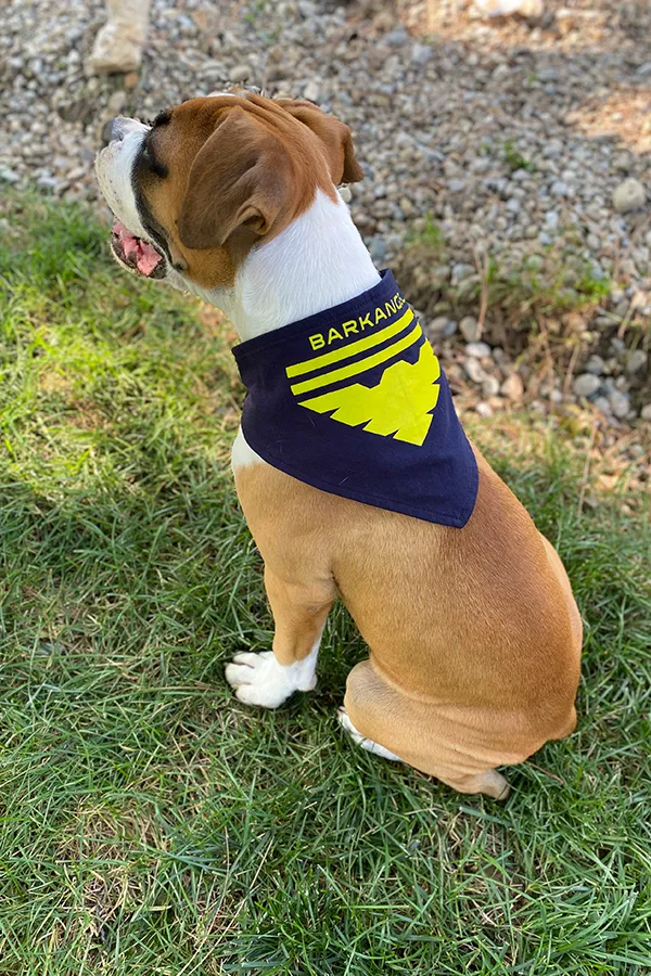 Mass Effect Garrus Barkarian Dog Tee and Bandana Set