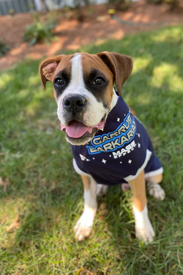 Mass Effect Garrus Barkarian Dog Tee and Bandana Set