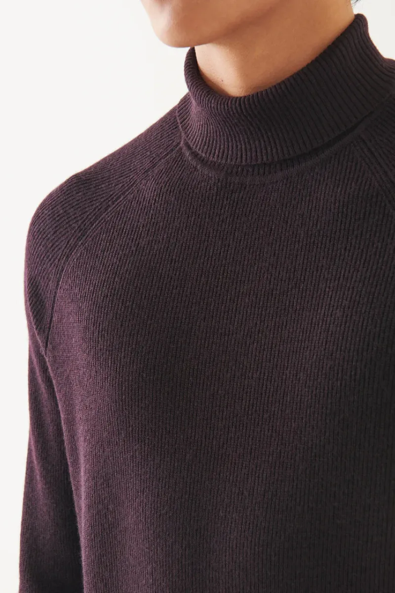 Merino Ribbed Turtleneck