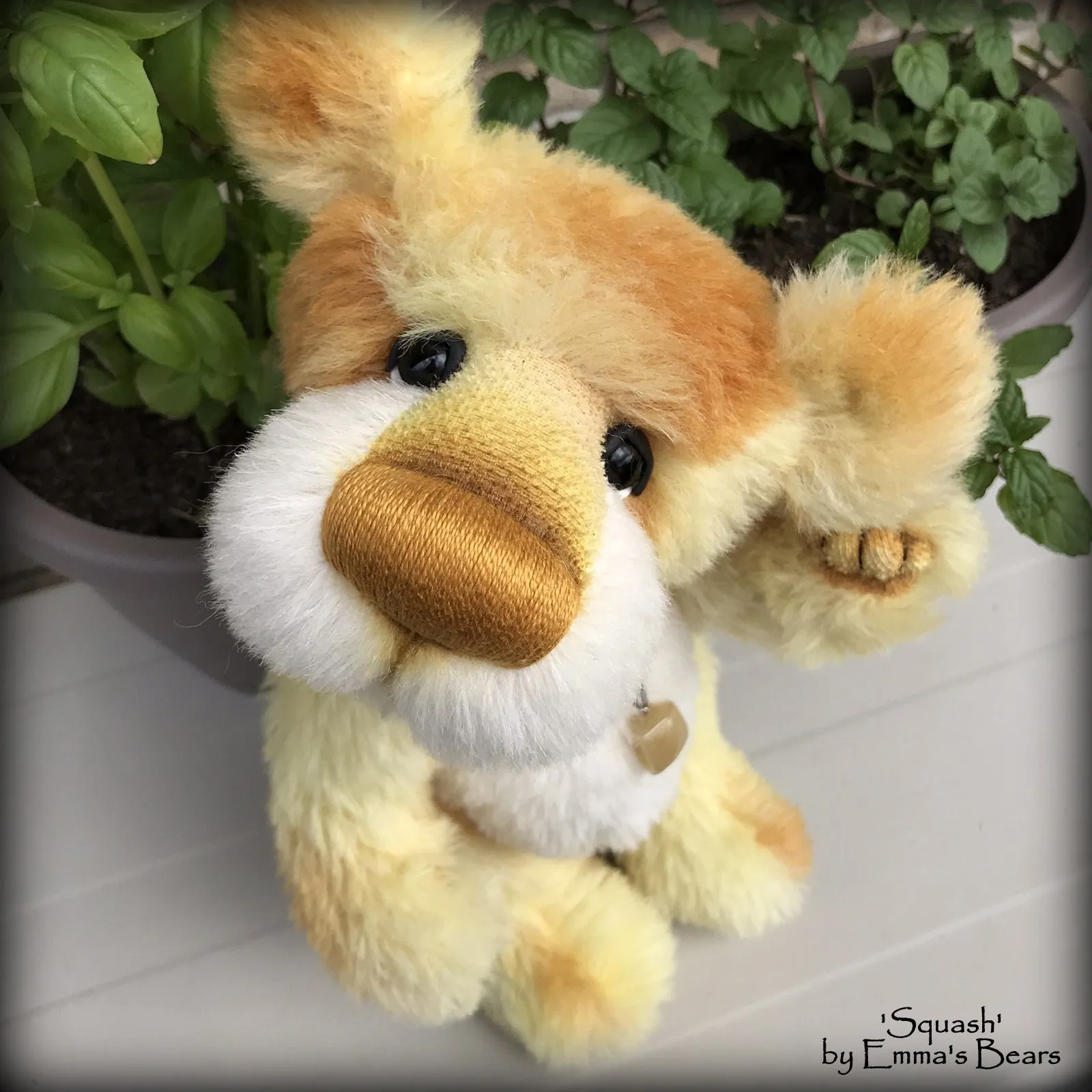 Squash - 11" Hand Dyed Alpaca Artist Bear by Emma's Bears - OOAK