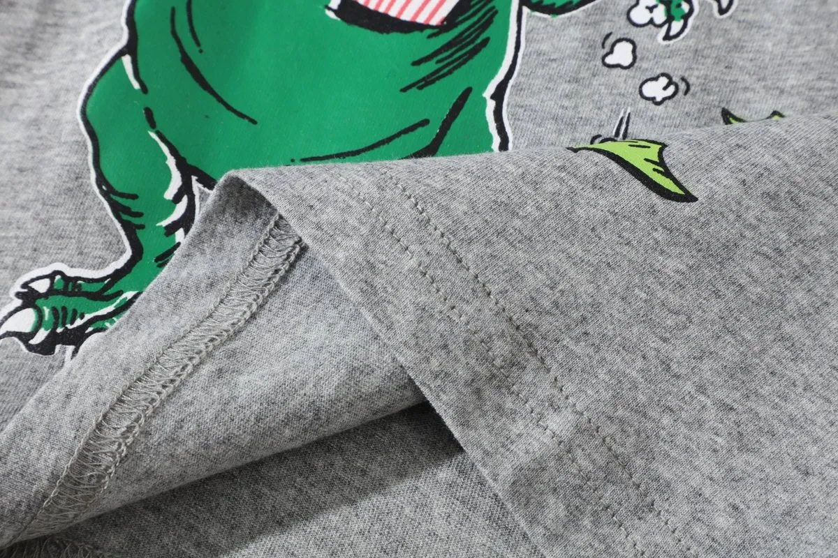 Toddler Boy's Long Sleeve Dinosaur Print Top